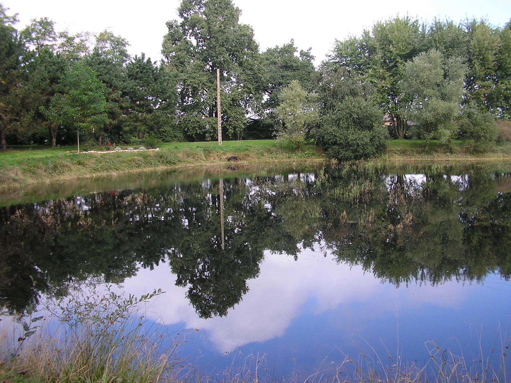 Готель Domaine De La Belliere Віллар-ле-Домб Екстер'єр фото